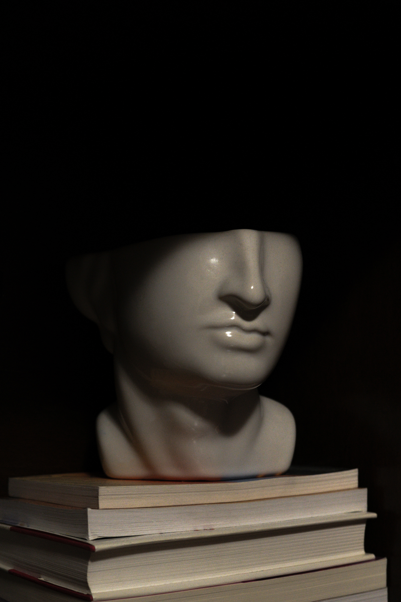 Moody still life of a classical ceramic bust resting on stacked books against a dark background – True North Visionaires
